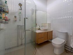 Blk 239 Bukit Panjang Ring Road (Bukit Panjang), HDB Executive #509995661